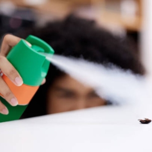 woman spraying bug in home